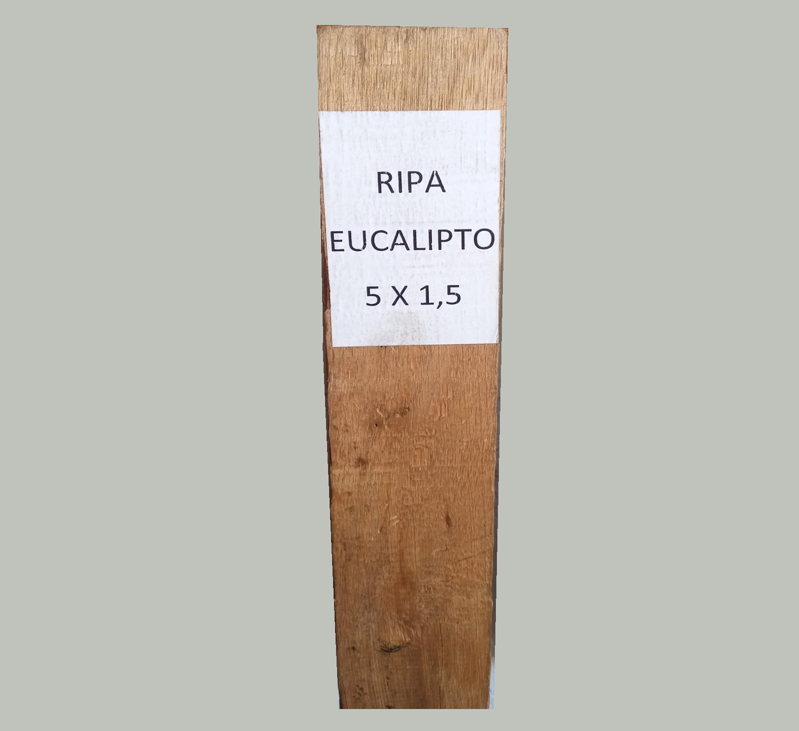 RIPA DE EUCALIPTO