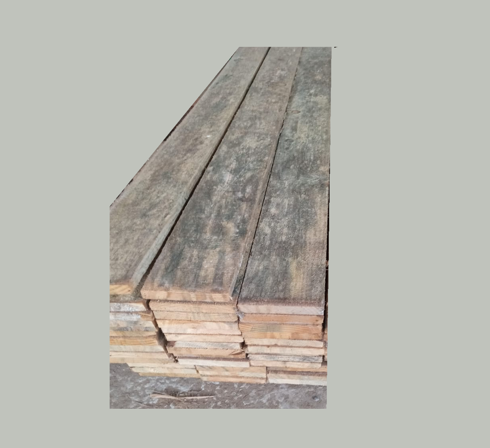 TÁBUA DE PINUS 15CM