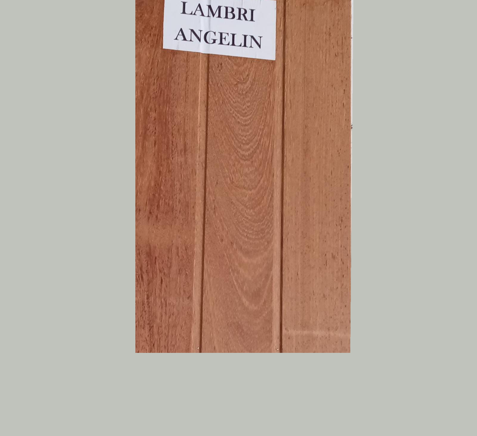 FORRO DE ANGELIM LAMBRI